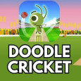 Doodle Cricket img